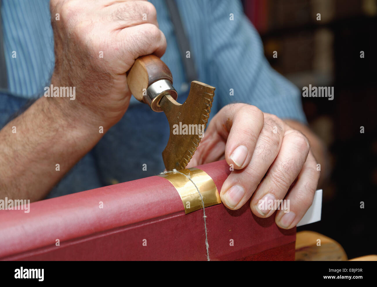 Nahaufnahme von Händen der senior männlichen traditionellen Buchbinder Blattgold auf Buchrücken drücken Stockfoto