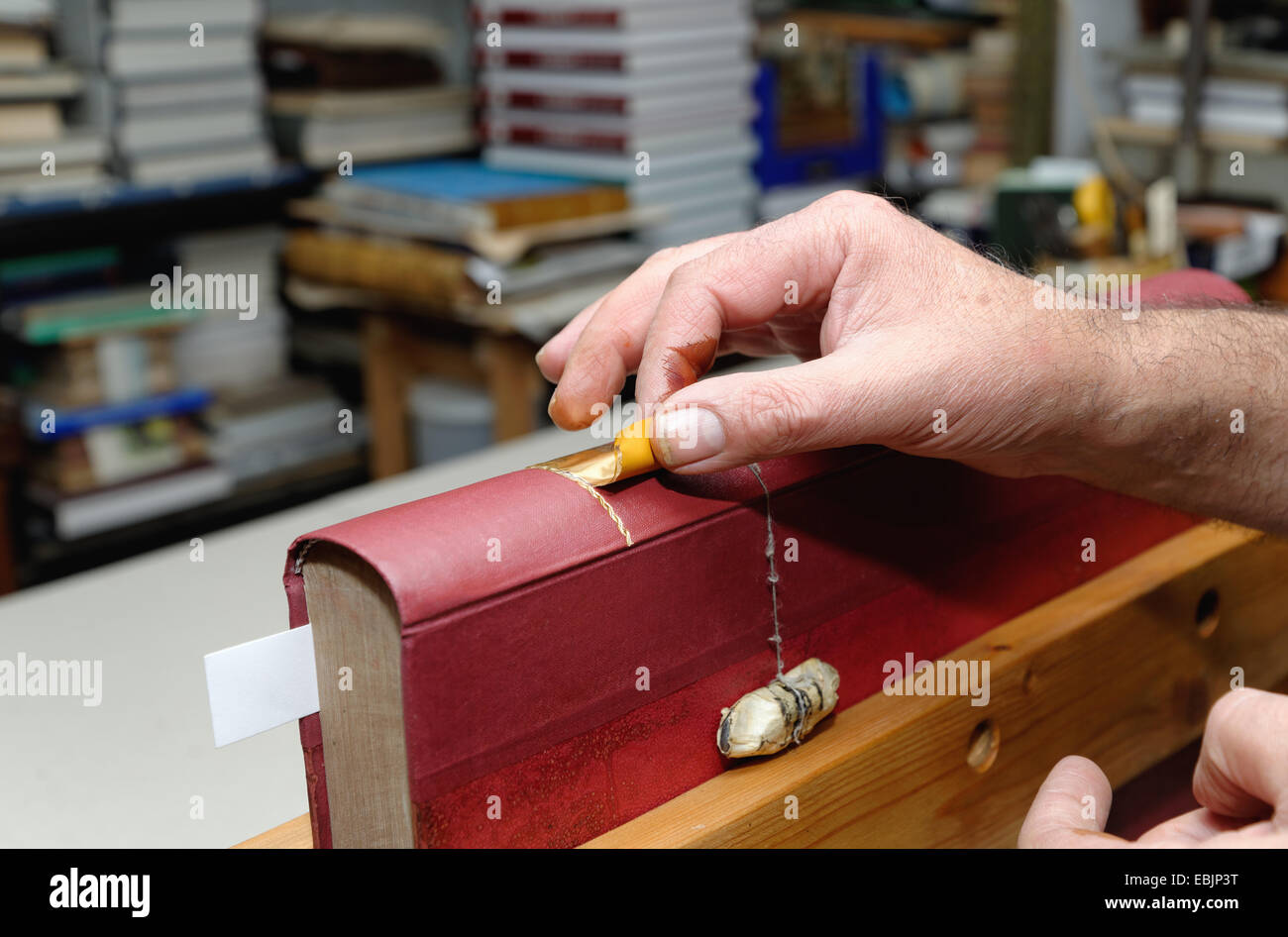 Nahaufnahme von Händen der senior männlichen traditionellen Buchbinder Buchrücken Blattgold zuweisen Stockfoto