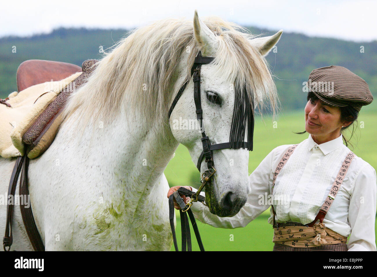 Andalusische Pferd (Equus Przewalskii F. Caballus), Frau mit ihrem Pferd Stockfoto
