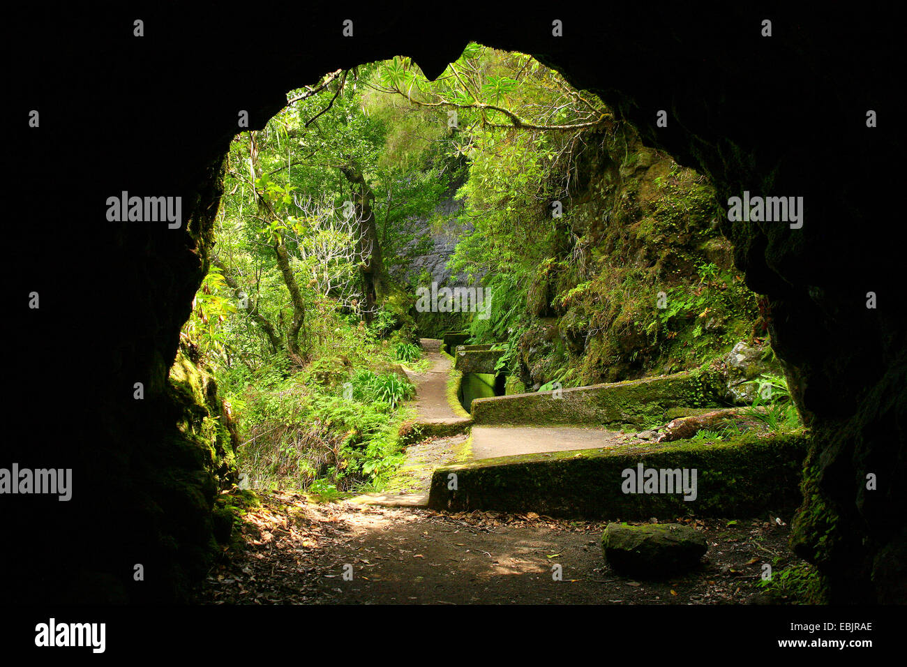 Blick durch den Tunnel zum Pfad einer Levada, Madeira Stockfoto