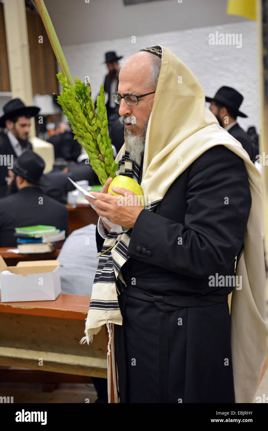 Religiösen jüdischen Mann beten mit Esrog und Lulv während des jüdischen Feiertages von Sukkot auf eine Synagoge in Brooklyn, New York. Stockfoto