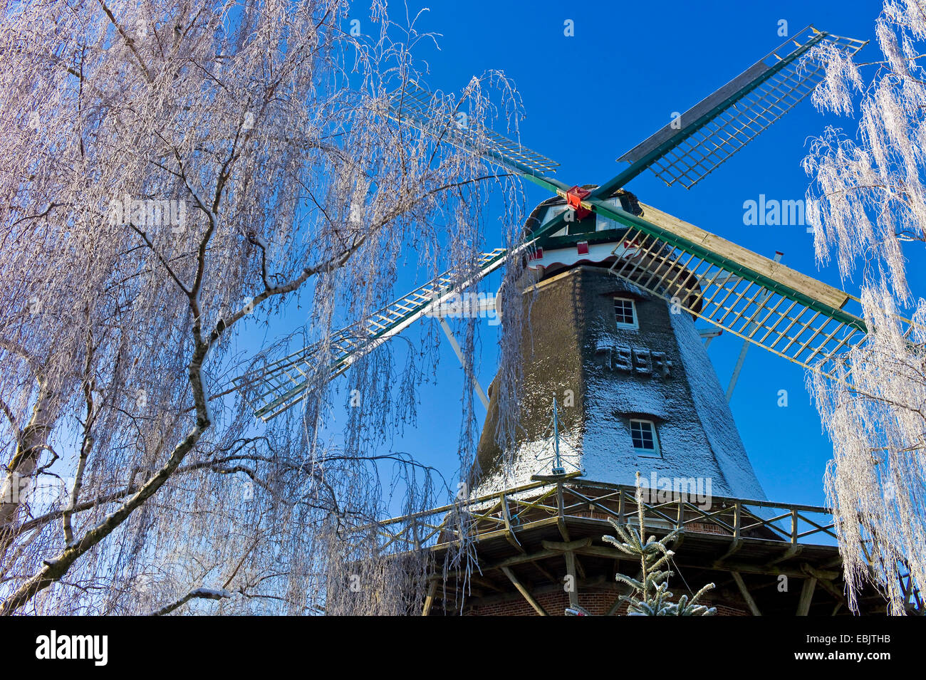 Windmühle von Hinte im Winter, Hinte, Ostfriesland, Niedersachsen, Deutschland Stockfoto