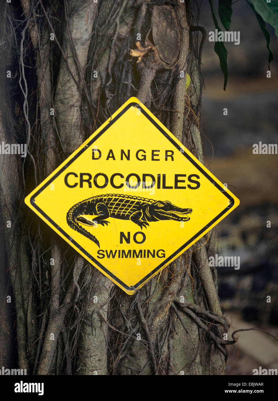 Warnzeichen: Gefahr Krokodile, kein Schwimmen Stockfoto