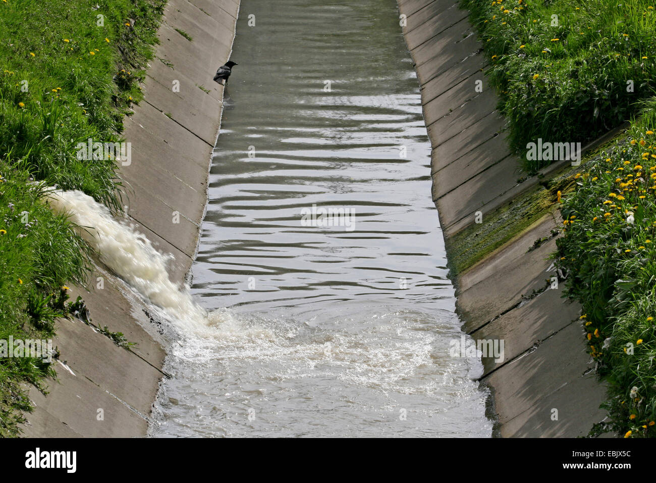 freien Channelisations des Abwassers, Gelsenkirchen, Ruhrgebiet, Nordrhein-Westfalen, Deutschland Stockfoto