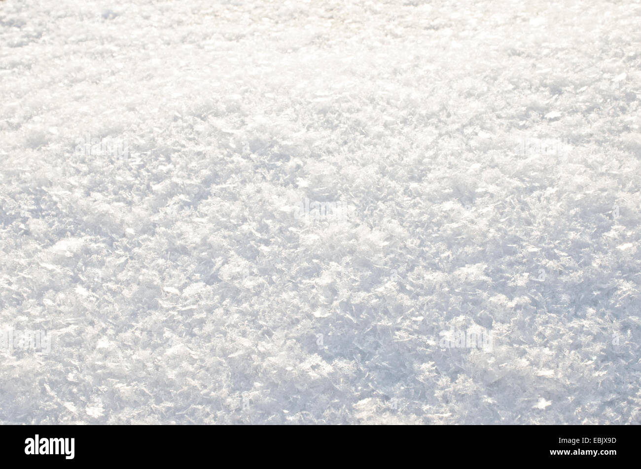 flauschigen Schnee closeup Stockfoto