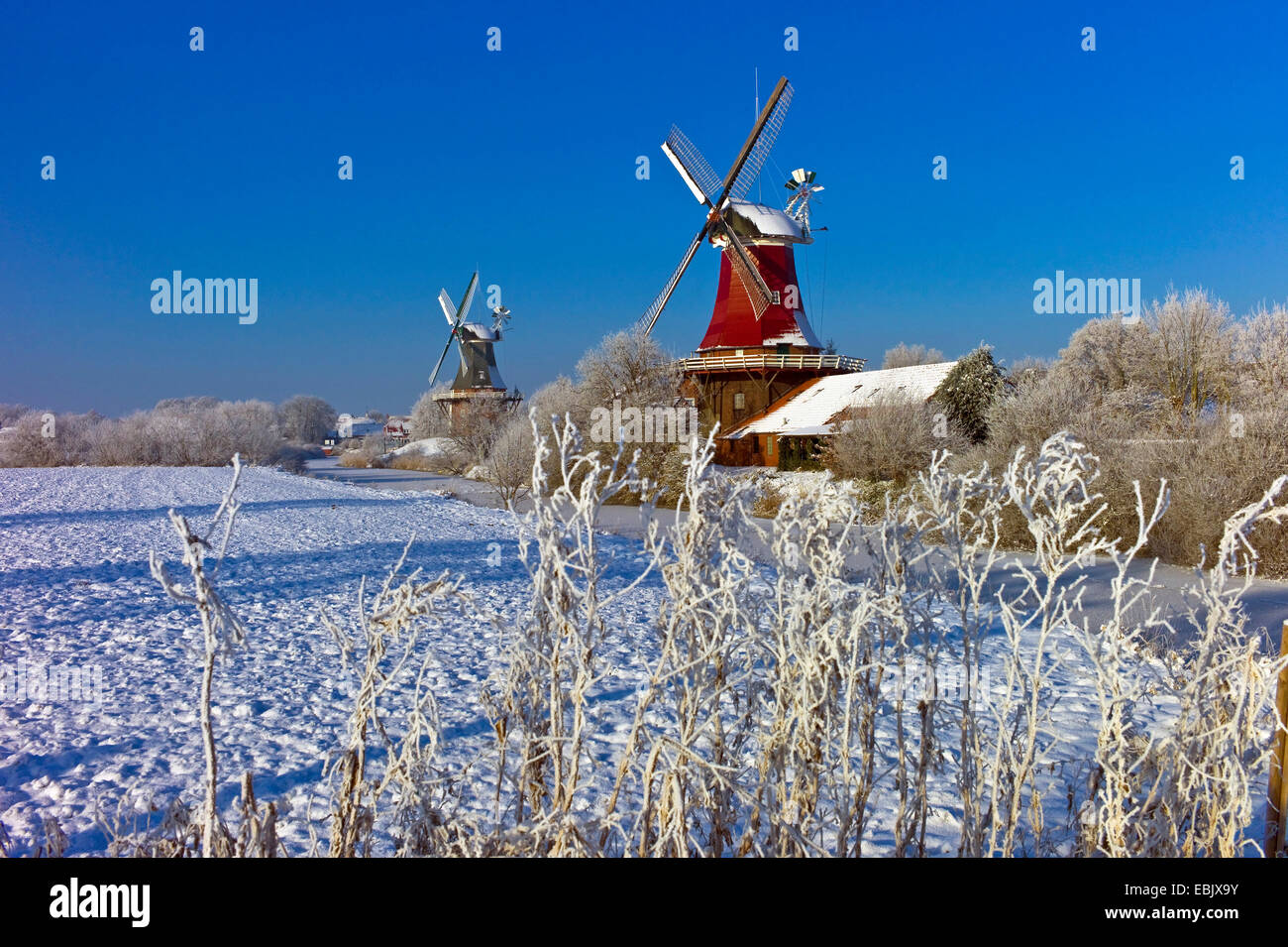 Zwillinge-Mühlen, Wahrzeichen von Greetsiel in Winter, Deutschland, Niedersachsen, Ostfriesland Stockfoto