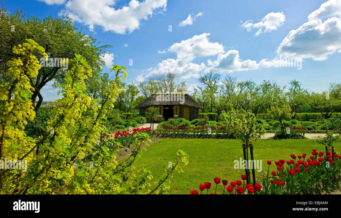 Garten von Emil Nolde im Frühjahr, Deutschland, Schleswig-Holstein, Seebuell Stockfoto