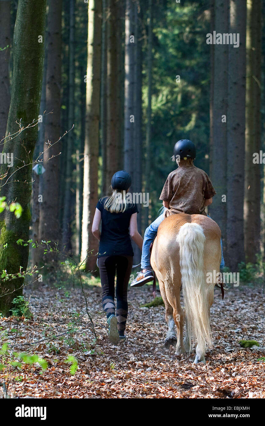 inländische Pferd (Equus Przewalskii F. Caballus), junge Mädchen zu Fuß neben Reiten junge durch den Wald, Deutschland Stockfoto