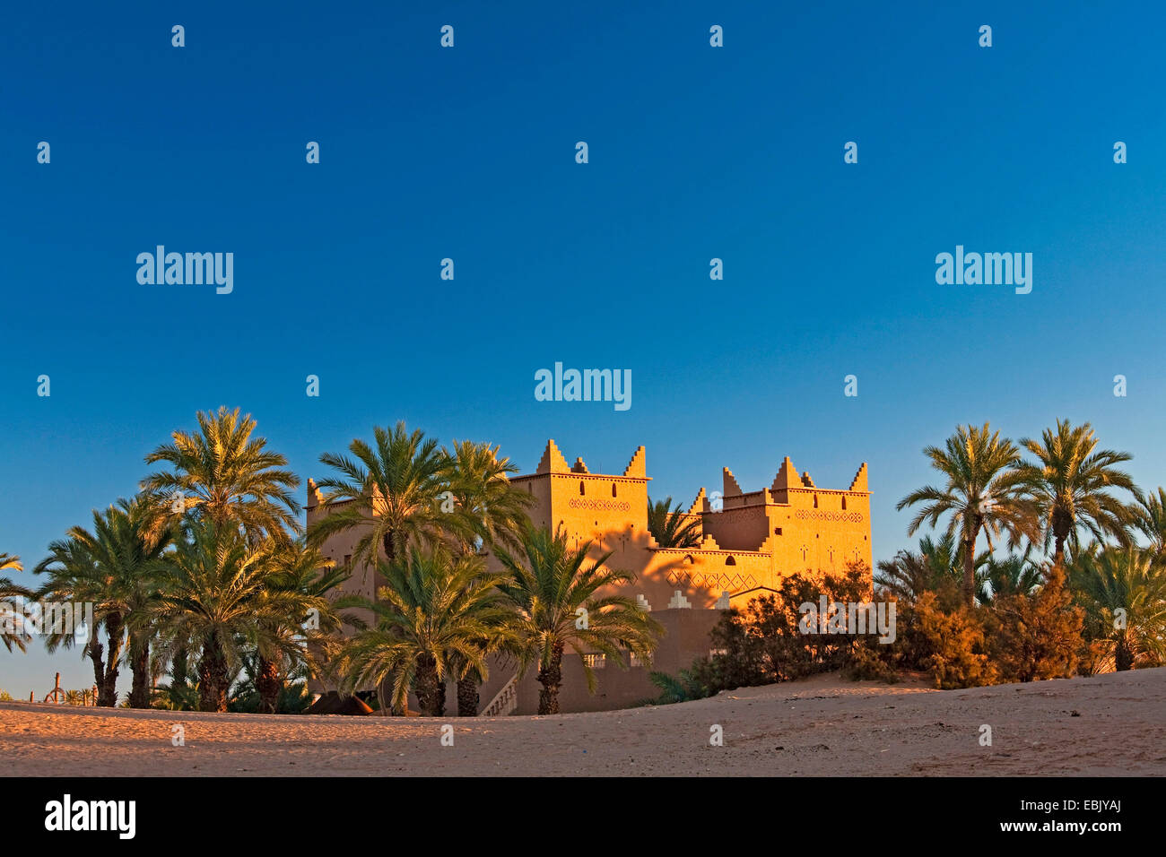 Dattelpalme (Phoenix dactylifera), Wüste Hotel in Mhamid Oase im Morgenlicht, Marokko, Souss-Massa-DaraÔ, Mhamid el Ghizlane Stockfoto