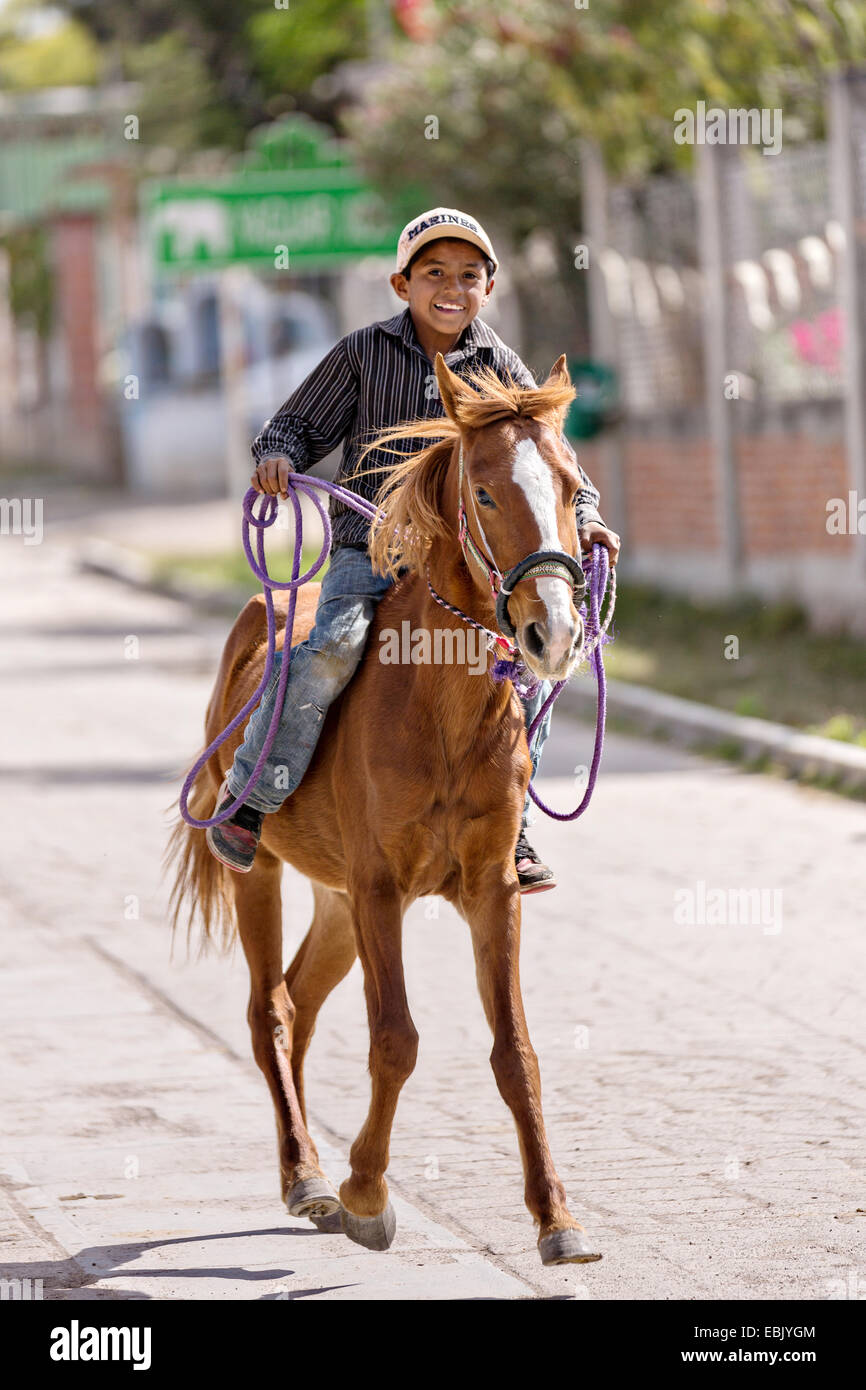 Ein junger mexikanischer Cowboy Herden Vieh hinunter eine Dorfstraße von mexikanischen Cowboys 5. November 2014 in beherbergt, Mexiko. Stockfoto