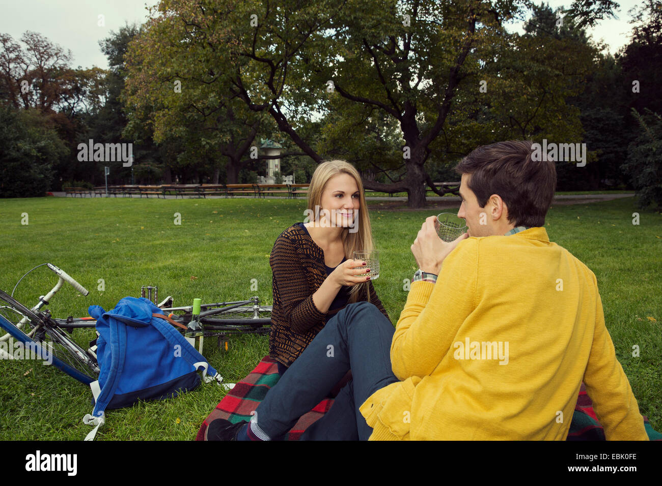 Junges Paar Weintrinken auf der Picknickdecke im park Stockfoto