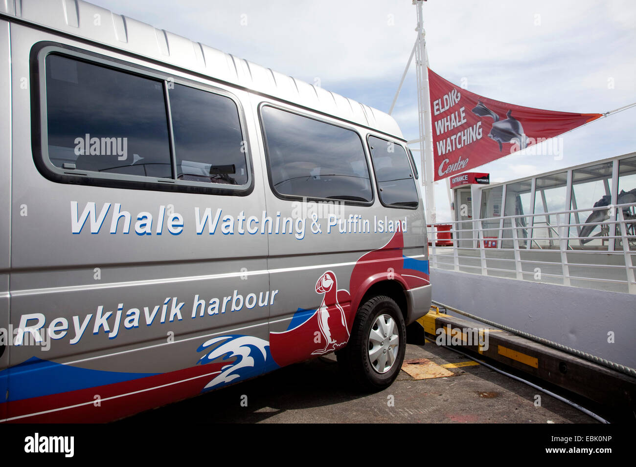 Angebote für Wal- und Seevogel watching Touren im Minibus, Island, Reykjavik Stockfoto