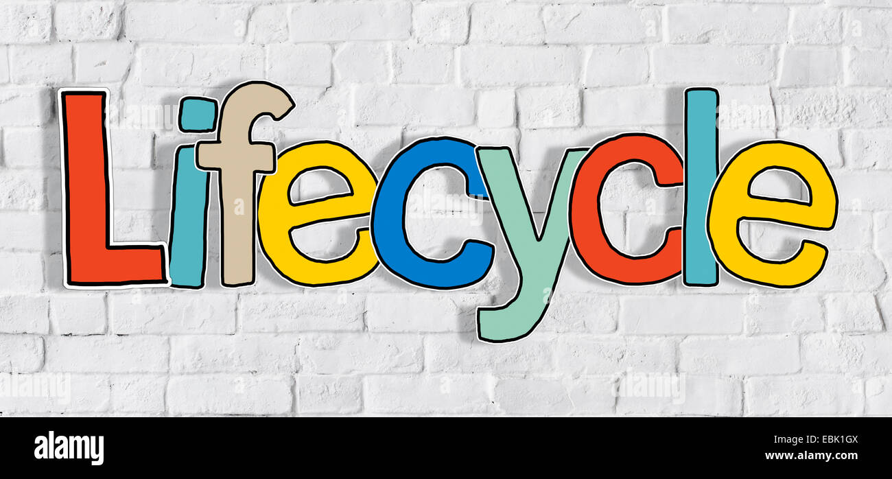 Lifecycle Ziegelmauer einzelnes Wort Text Hintergrund sauber Konzept Stockfoto
