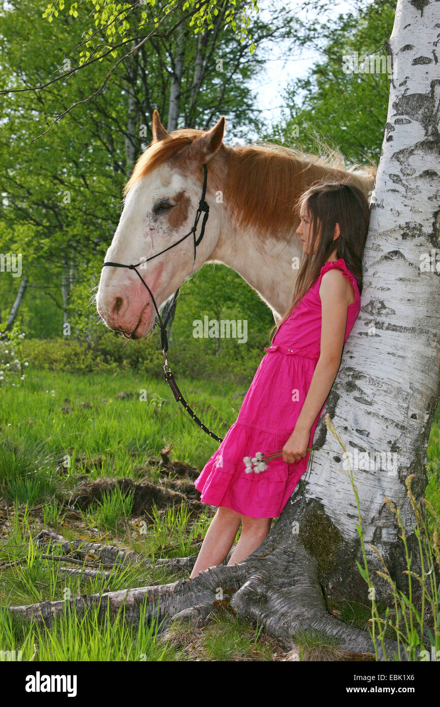 Criollo Pferd (Equus Przewalskii F. Caballus), Mädchen machen eine Pause mit ihren Pferdewagen in einem Birkenwald Stockfoto