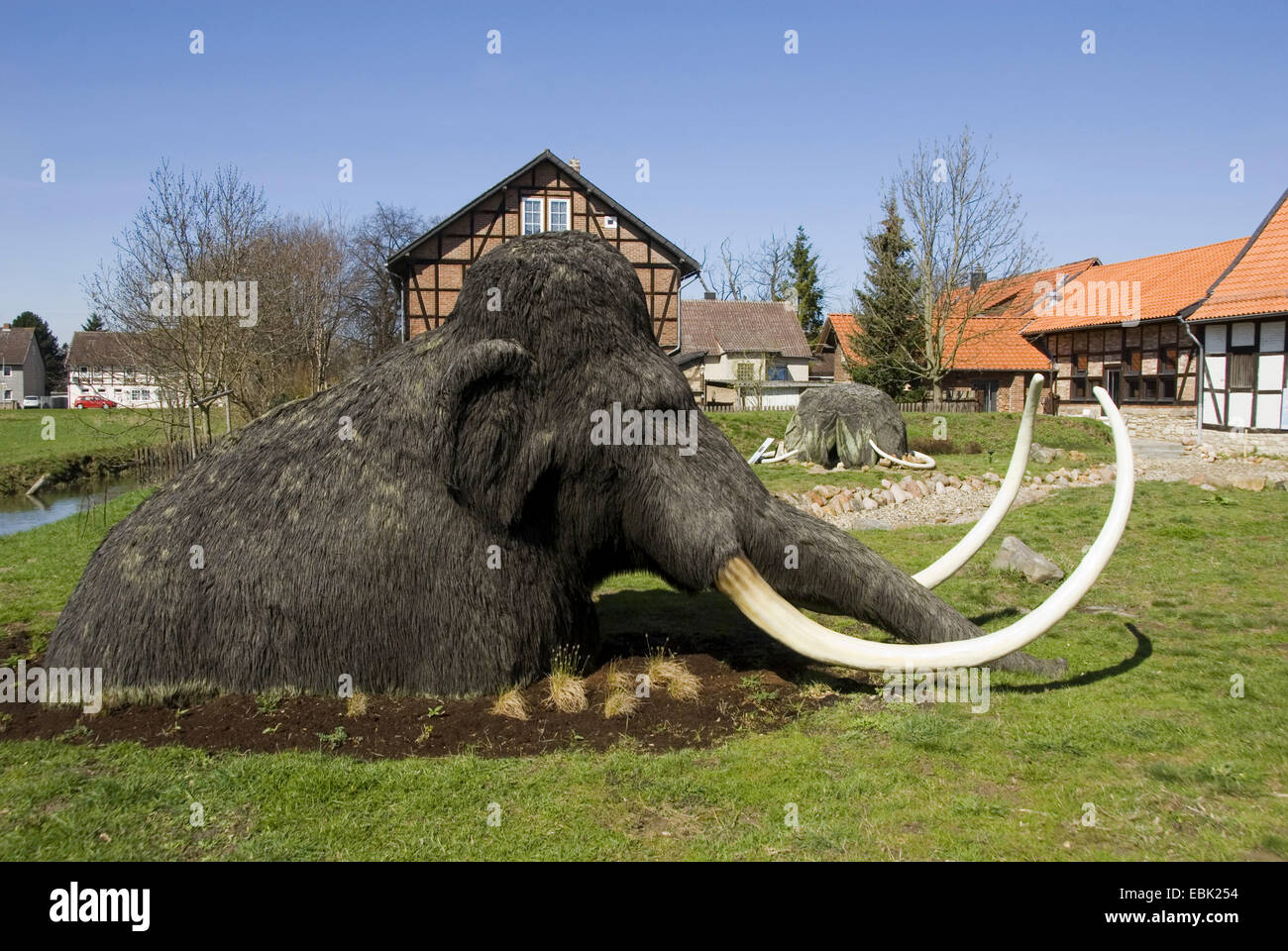 Mammut (Mammuthus spec.), Mammut in Eiszeigarten im Museum Salder Castel, Deutschland, Niedersachsen, Salzgitter Salder Stockfoto