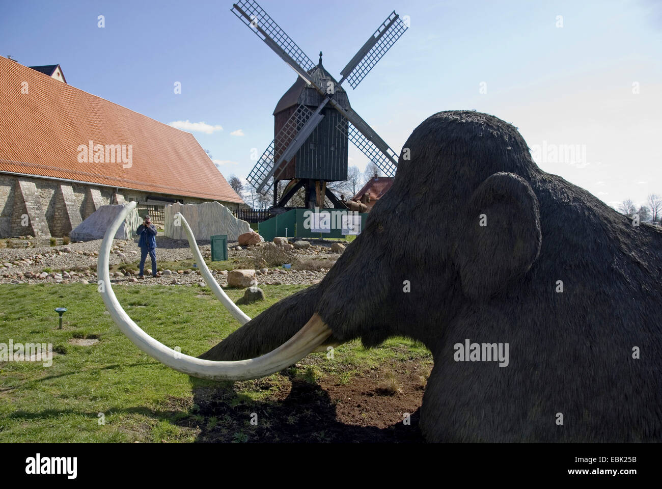 Mammut (Mammuthus spec.), Mammut im Eiszeigarten im Museum Salder Castel mit touristischen und Wind Mühle im Hintergrund, Deutschland, Niedersachsen, Salzgitter Salder Stockfoto