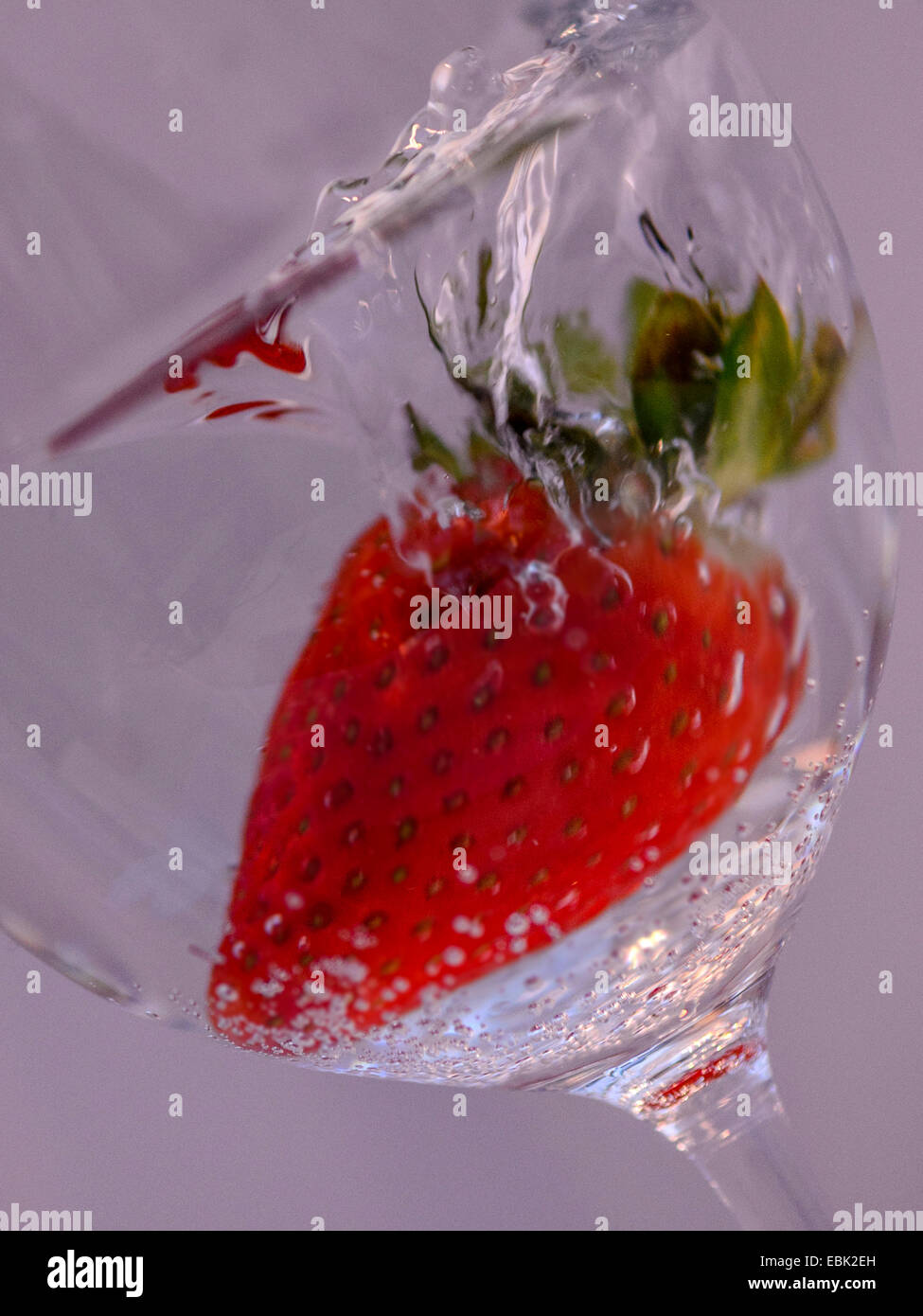 Studio Makro, high-Speed-Bild einer lebendigen rote Erdbeere in ein Glas Mineralwasser in einem schrägen Glas Wein. Stockfoto