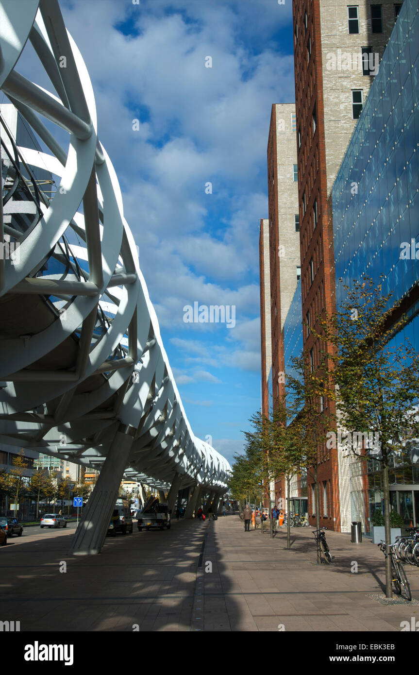 Moderne Straßenbahnlinie Netkous in Bezuidenhout mit Bürogebäude im Businesscenter in den Haag, Niederlande Stockfoto