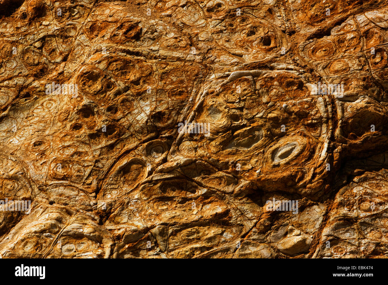 Strukturen in Sandsteinwand in der Nähe von Cape Woolamai, Australien, Victoria, Phillip Island Stockfoto