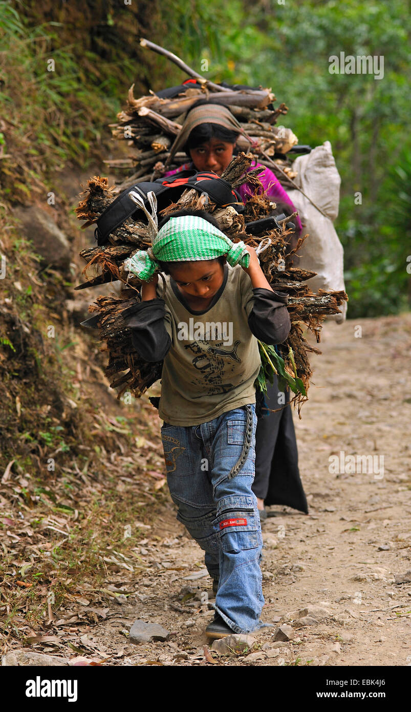 Kinder, die schwere Last, Guatemala, Atitlan See Stockfoto