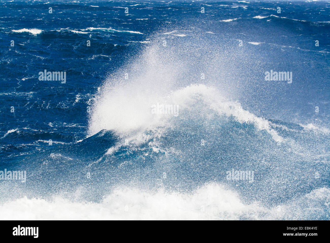 Wellen des südlichen Ozeans auf Süd-Georgien in die Subantarktis, Suedgeorgien Stockfoto