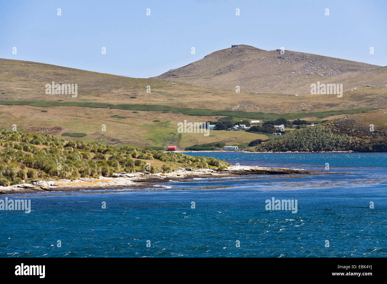 Panoramablick über die Küste von Westpoint Island, Falkland-Inseln Stockfoto