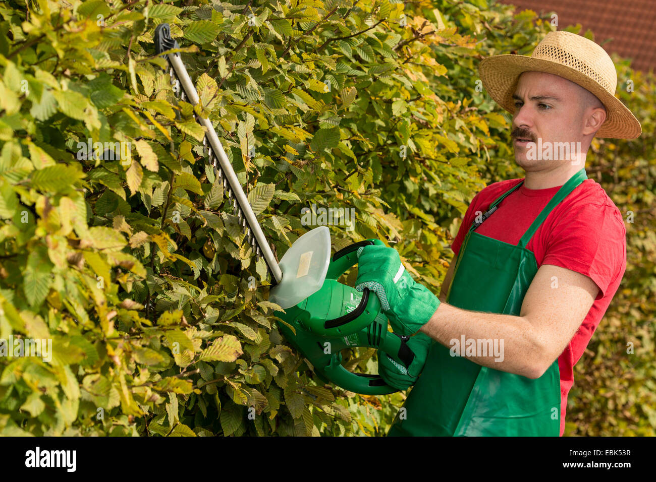 Gärtner eine Hecke mit einer Heckenschere schneiden Stockfotografie Alamy