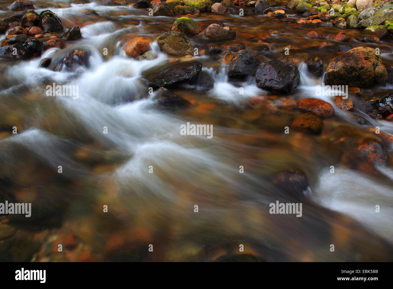 Mountain Creek, Großbritannien, Schottland, Cairngorm National Park Stockfoto