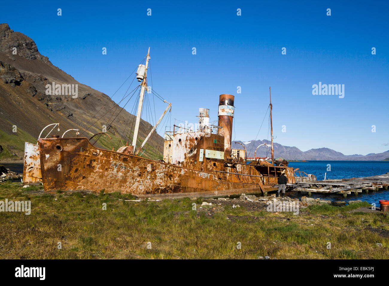 zerstörten Walfang-Schiffe der ehemaligen Walfänger station Grytviken, Suedgeorgien, Süd-Sandwich-Inseln, König Edward Cove Grytviken Stockfoto