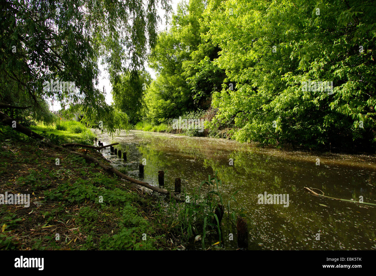 Graben Sie in der Nähe von Deutschland, Brandenburg, Oderbruch, Bad Freienwalde, Bad Freienwalde Stockfoto