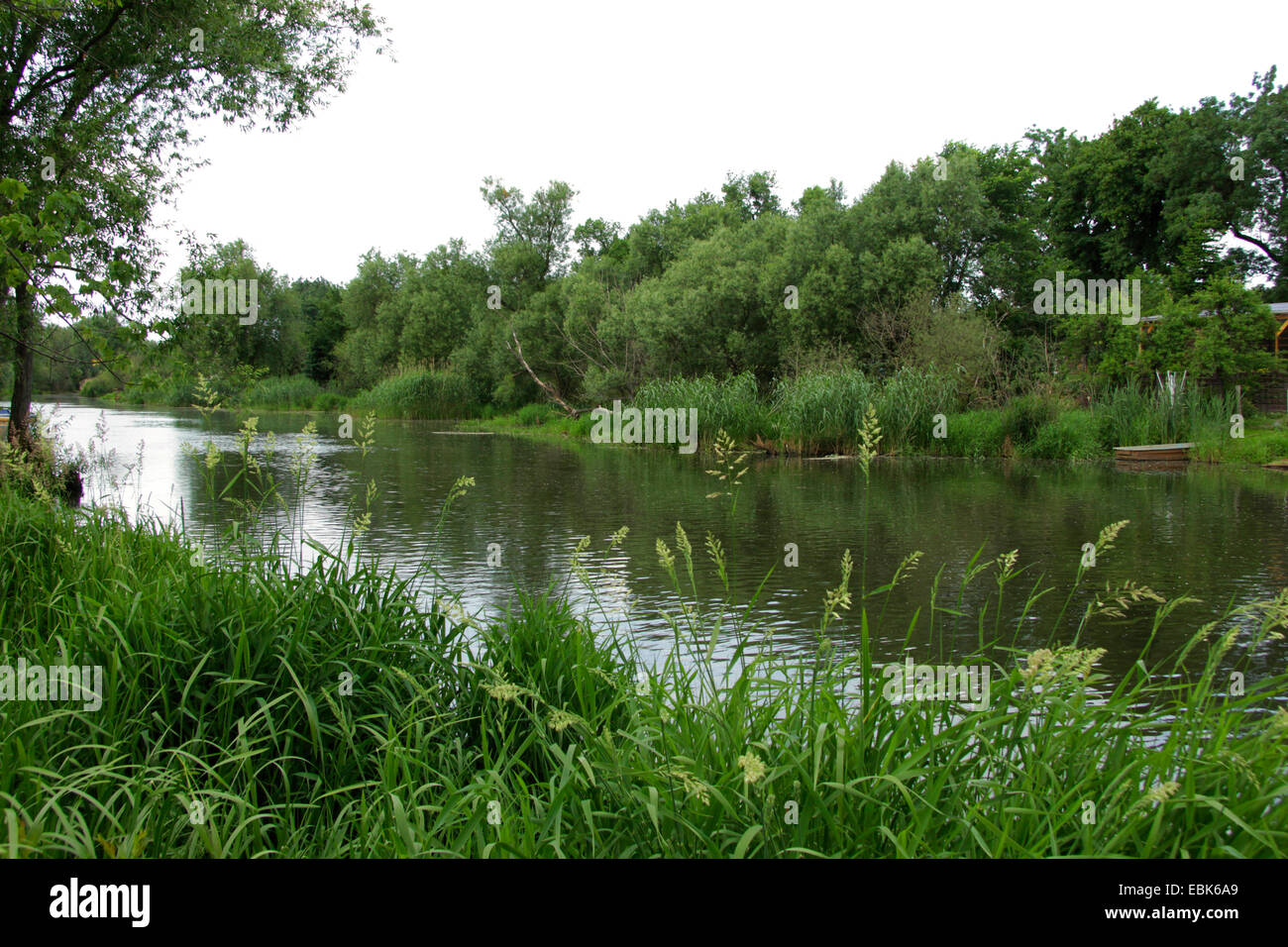 Langster Fluss In Brandenburg