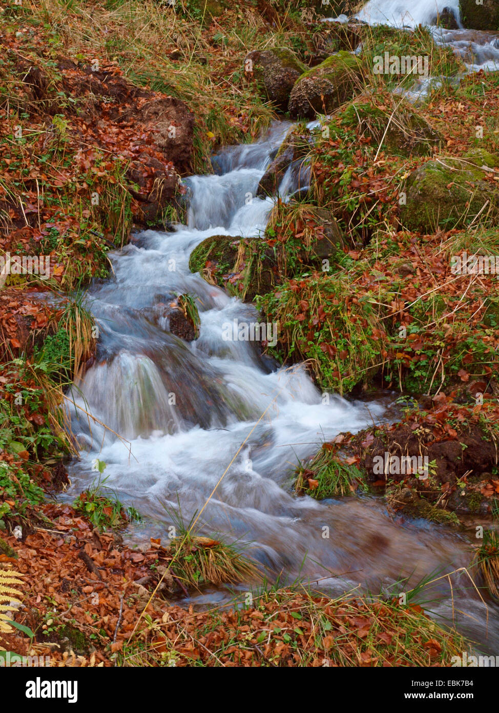 Herbst Creek höhere Vogesen, Frankreich, Elsass, Vogesen Stockfoto
