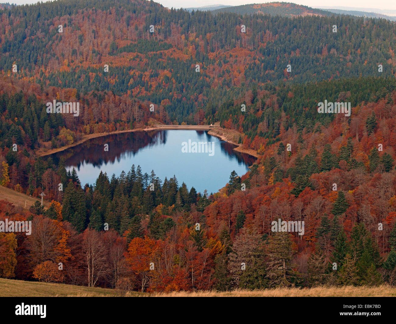 See im herbstlichen Wald höhere Vogesen, Frankreich, Elsass, Vogesen Stockfoto