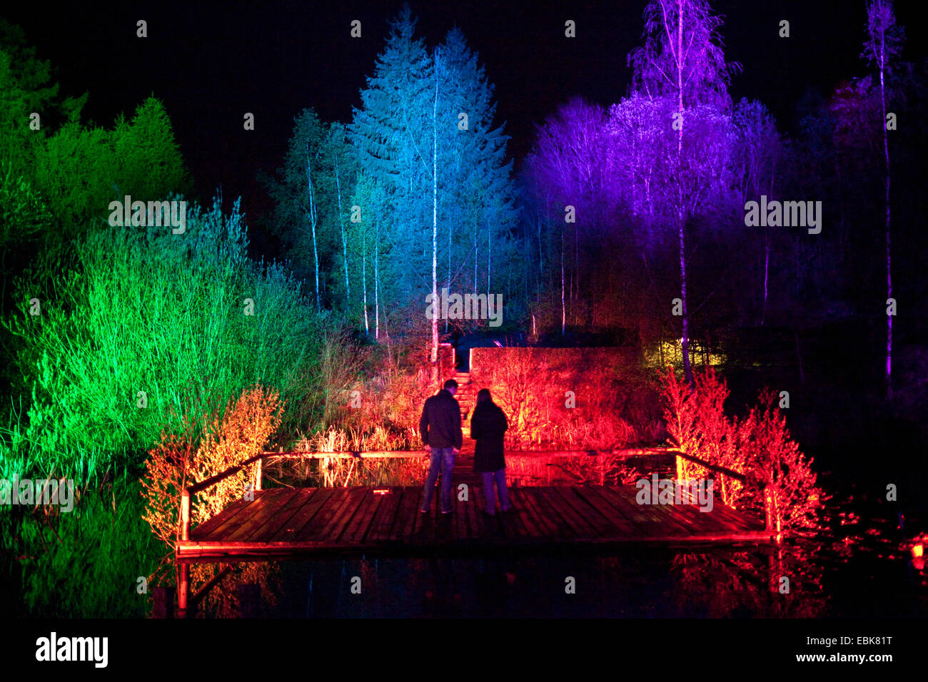 beleuchteten Wald Vosswinkel, Deutschland, Nordrhein-Westfalen, Sauerland, Arnsberg Stockfoto