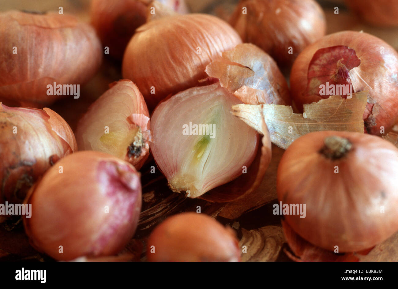 Schalotte (Allium Ascalonium), Zwiebeln Stockfoto