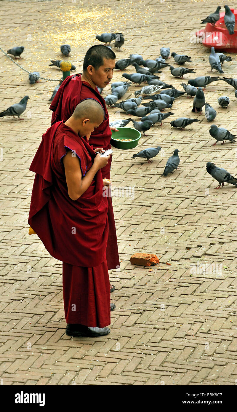 zwei junge Mönche, eine Fütterung von Tauben, einem besetzt mit seinem Handy bei der Stupa Bouddhanath, eine der heiligsten buddhistischen Stätten des Landes, Nepal, Bodnath, Kathmandu Stockfoto