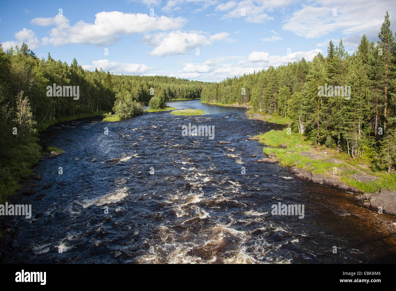 Fluss mit kastanienbraunen Wasser läuft durch einen urzeitlichen Pinienwald, Russland, Karelien, Keret Fluss Stockfoto