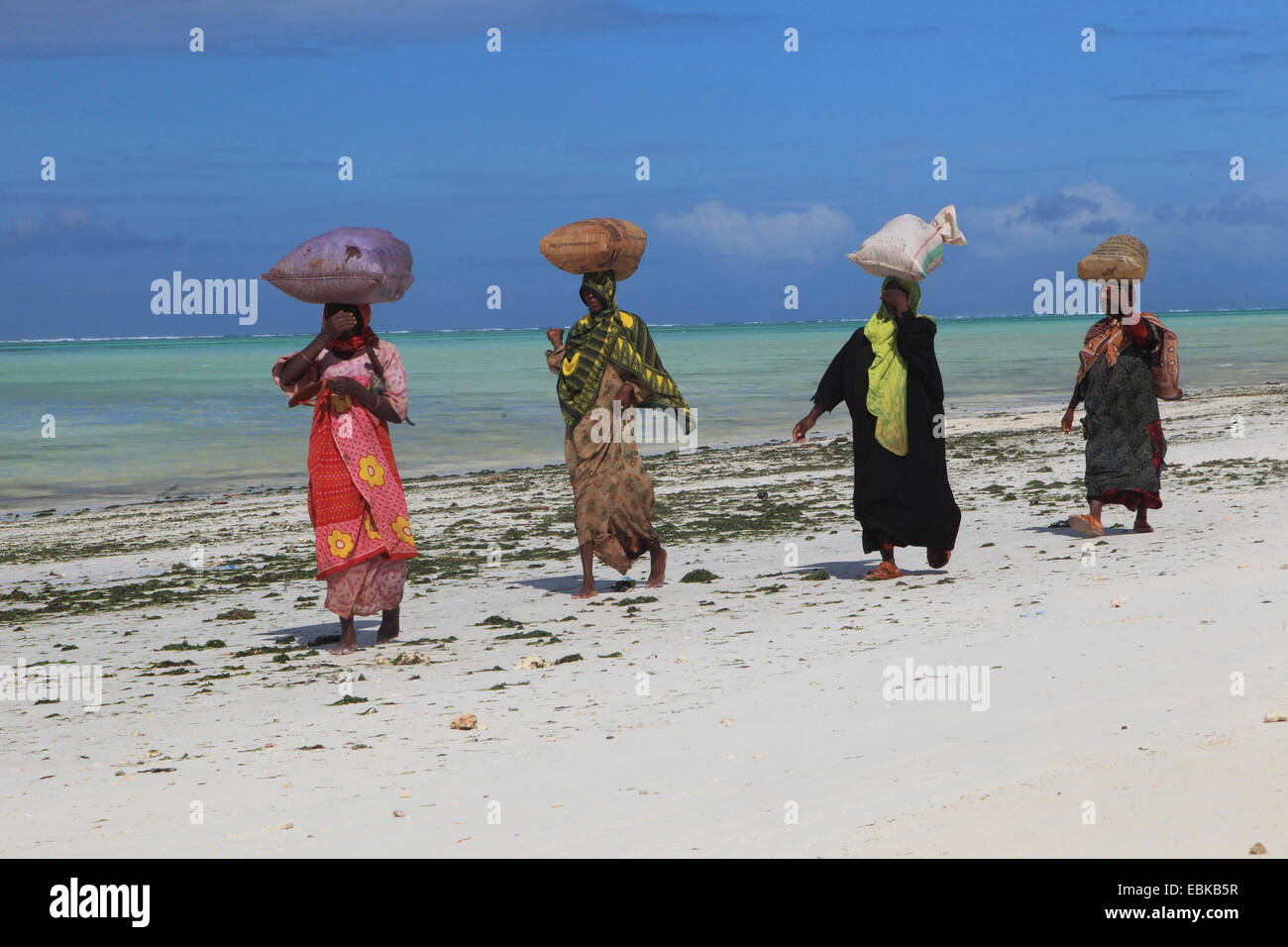 Frauen, die Säcke mit Algen auf ihren Köpfen, Tansania, Sansibar Stockfoto