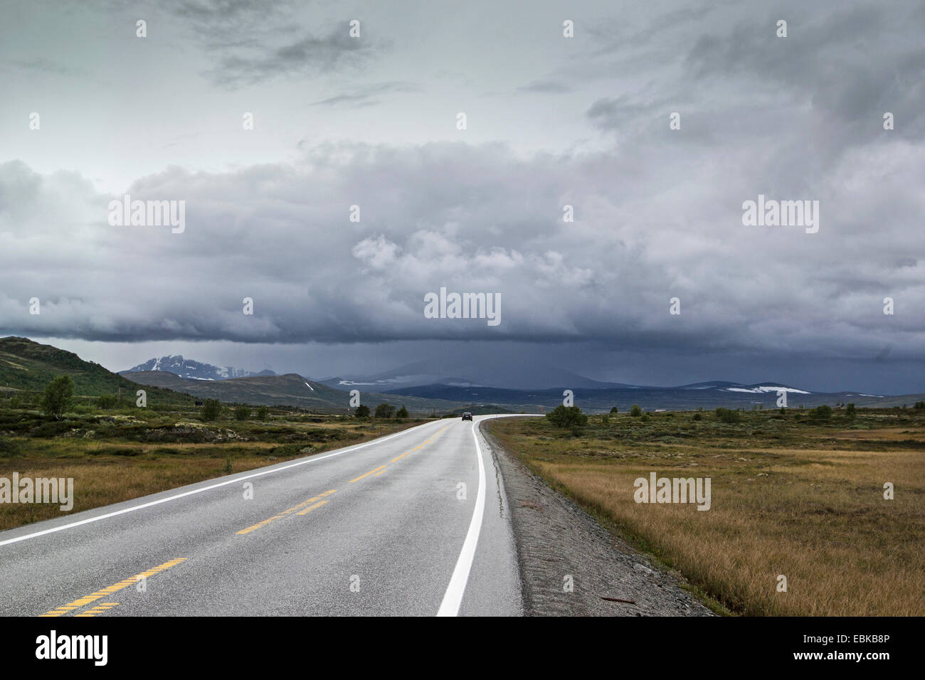Regenwolken über Landstraße, Norwegen Dovrefjell-Sunndalsfjella-Nationalpark, Kongsvoll Stockfoto