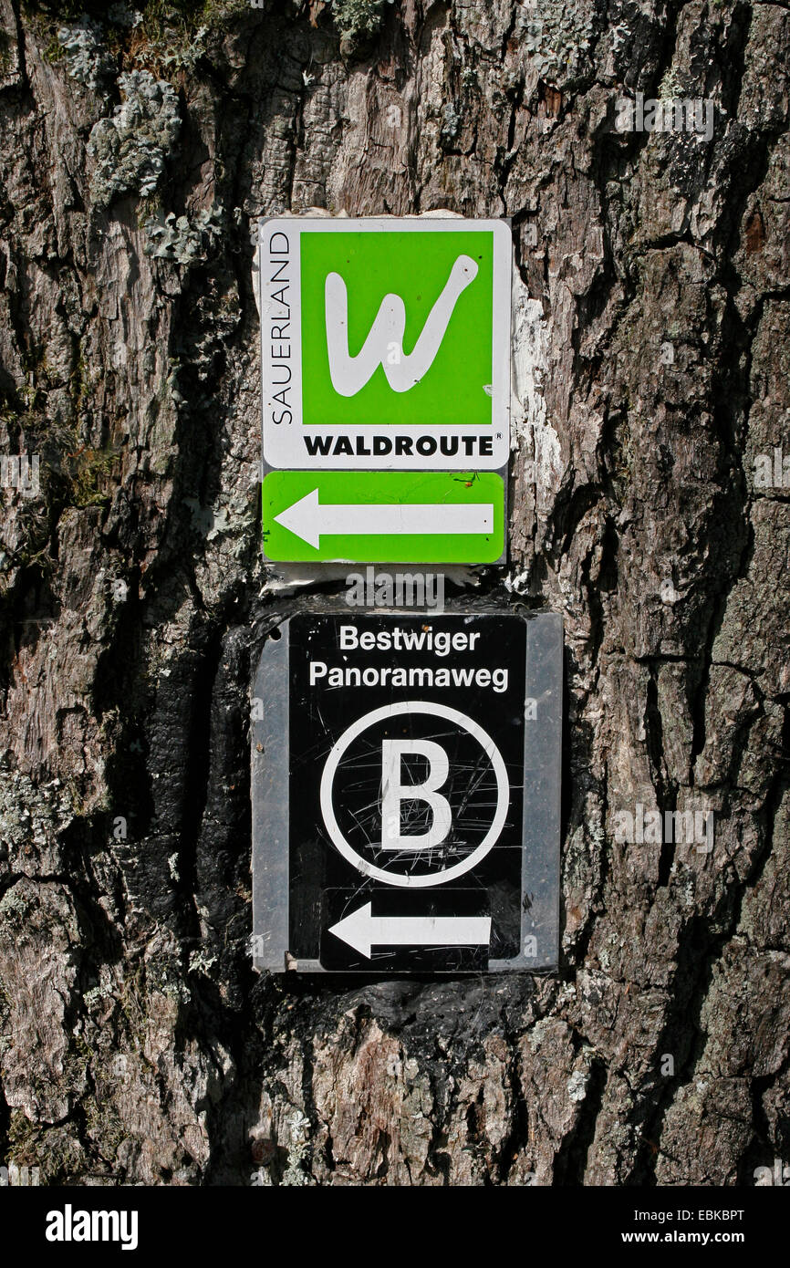 Wandern Zeichen auf Baumstamm, Sauerland-Waldroute, Deutschland Stockfoto