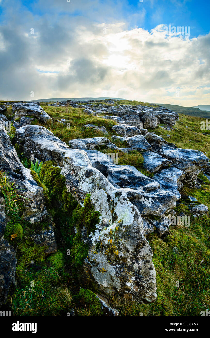 Kalkstein Pflaster bei Winskill Steinen in der Yorkshire Dales Nationalpark Englands Stockfoto