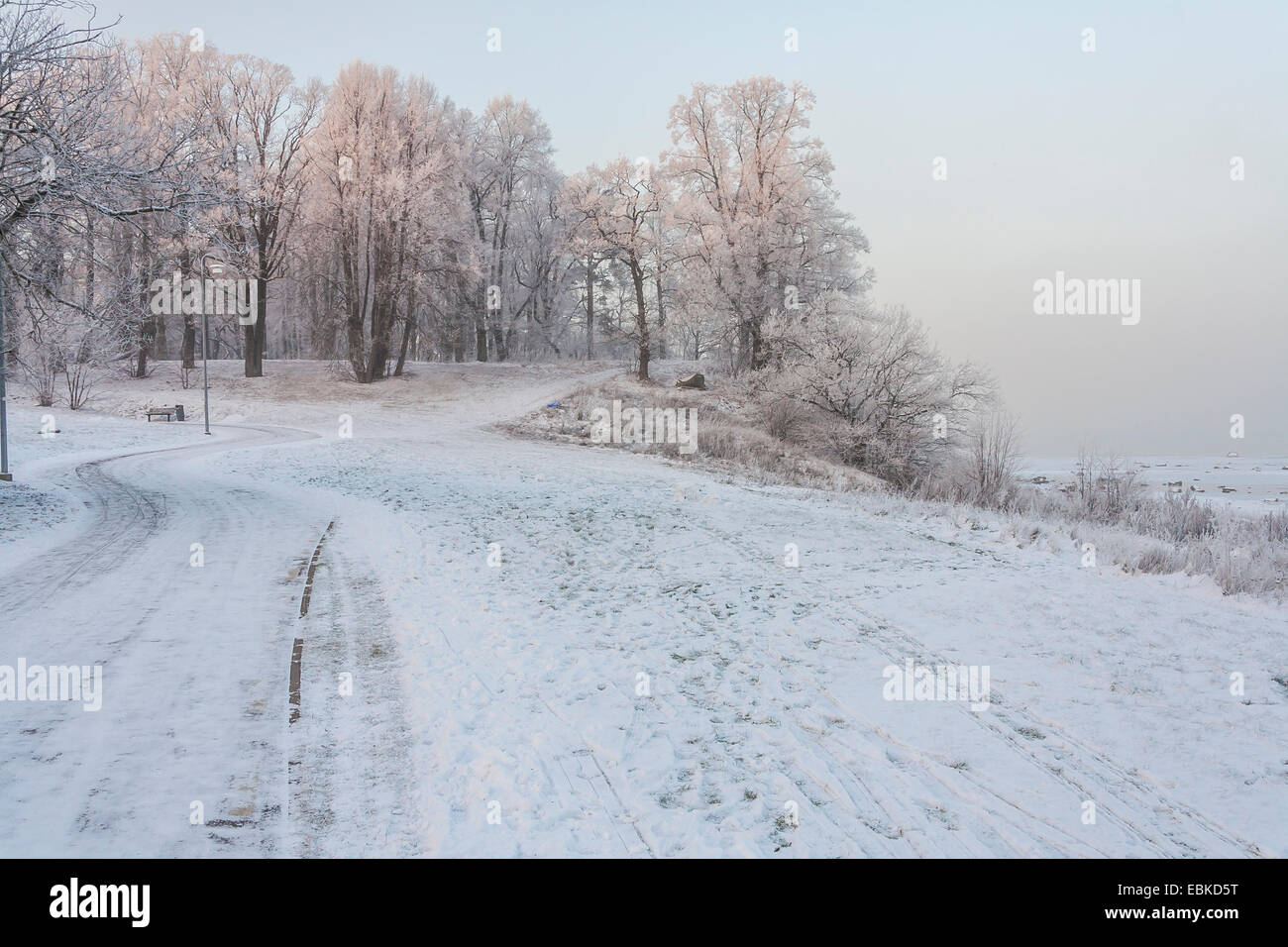 Winterlandschaft mit Frost und Schnee Stockfoto
