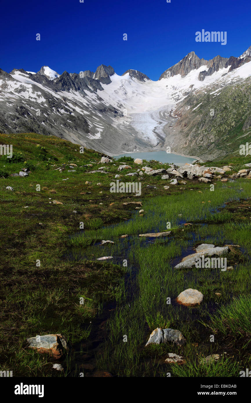 Stausee in den Schweizer Alpen, Oberaarsee, Oberaargletscher mit Oberaarhorn, 3638 m, Schweiz, Berner Oberland, Grimselpass Stockfoto