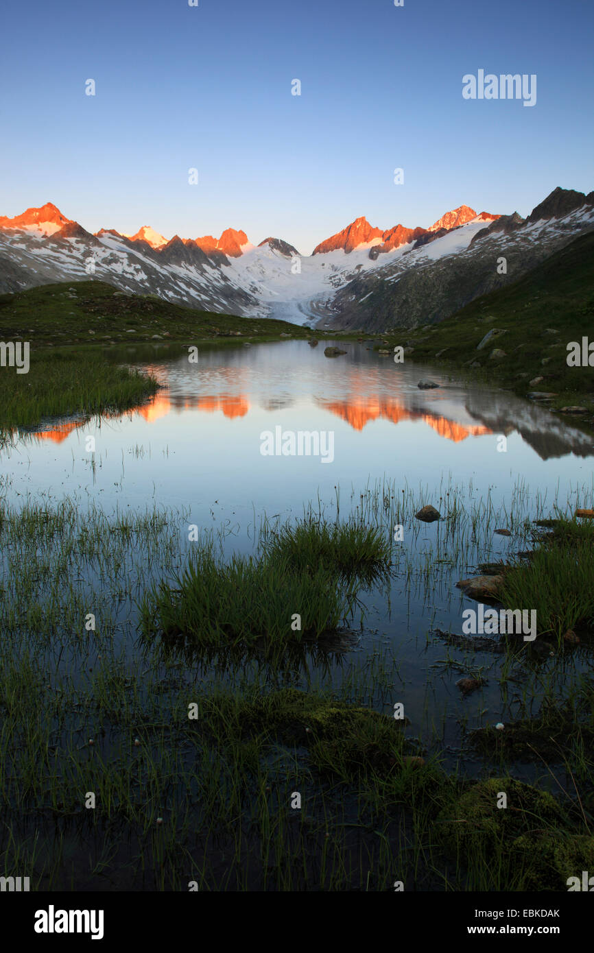 Schweizer Alpen im Sommer am Grimsel Pass, Oberaargletscher, Oberaarhorn, 3638 m, Finsteraarhorn, 4274 m, Schweiz, Berner Oberland Stockfoto