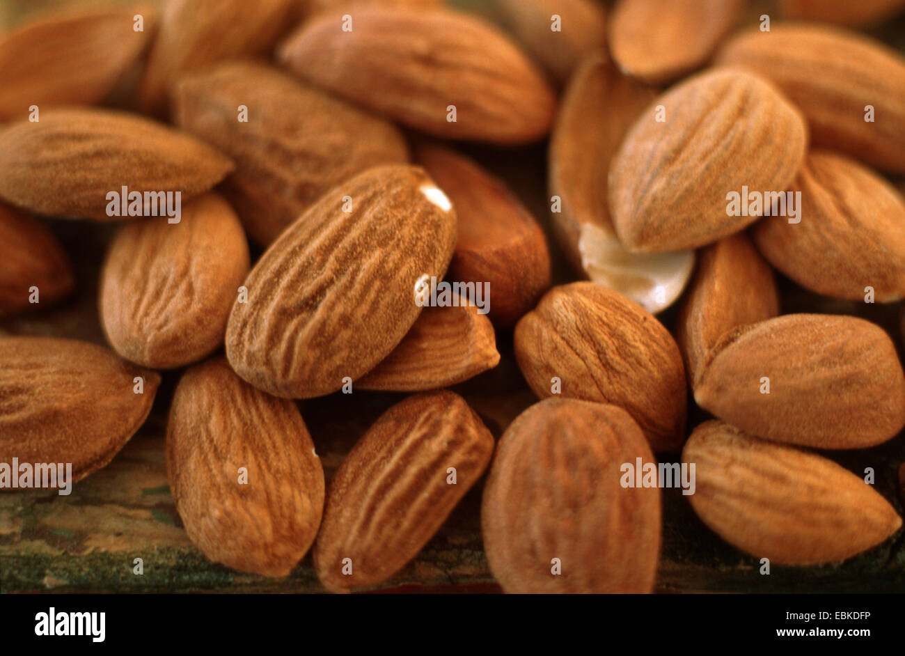 Bittermandel (Prunus Dulcis var. Amara, Prunus Dulcis Amara), mehrere Samen Stockfoto
