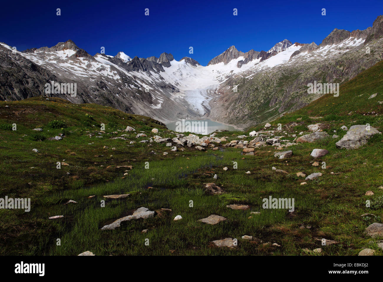 Stausee in den Schweizer Alpen, Oberaarsee, Oberaargletscher mit Oberaarhorn, 3638 m, Schweiz, Berner Oberland, Grimselpass Stockfoto