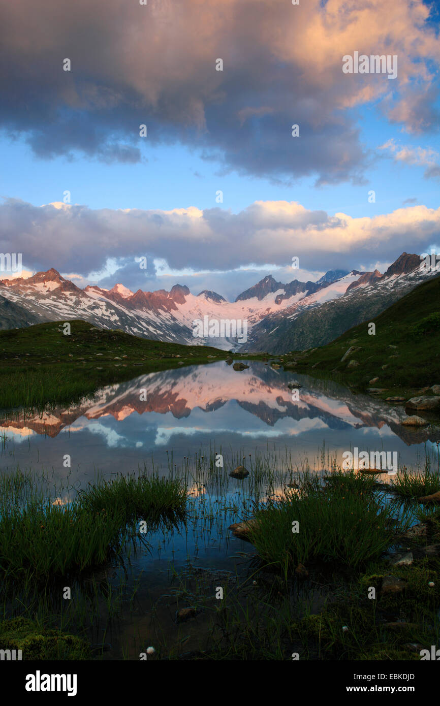 Schweizer Alpen im Sommer am Grimsel Pass, Oberaargletscher, Oberaarhorn, 3638 m, Finsteraarhorn, 4274 m, Schweiz, Berner Oberland Stockfoto
