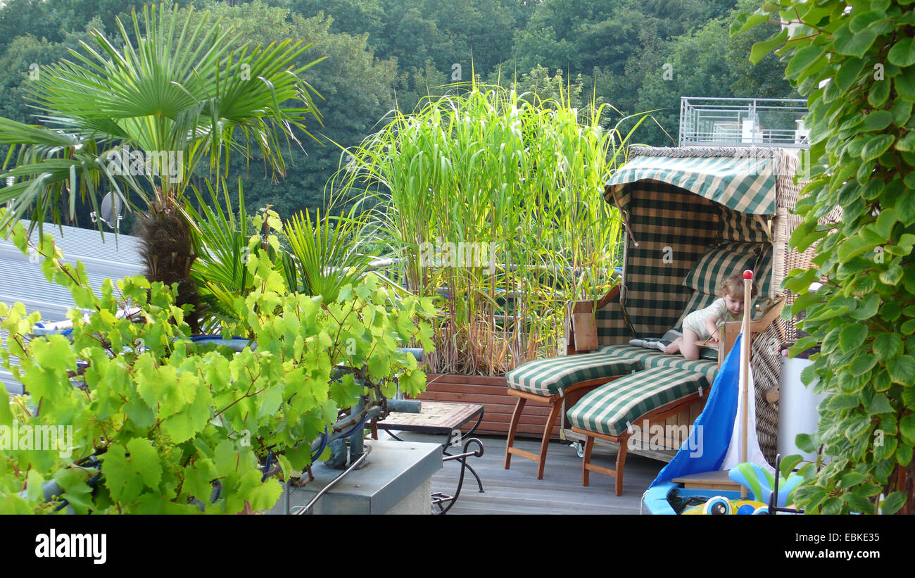 Lounge mit grünen Pflanzen auf dem Balkon Stockfotografie - Alamy