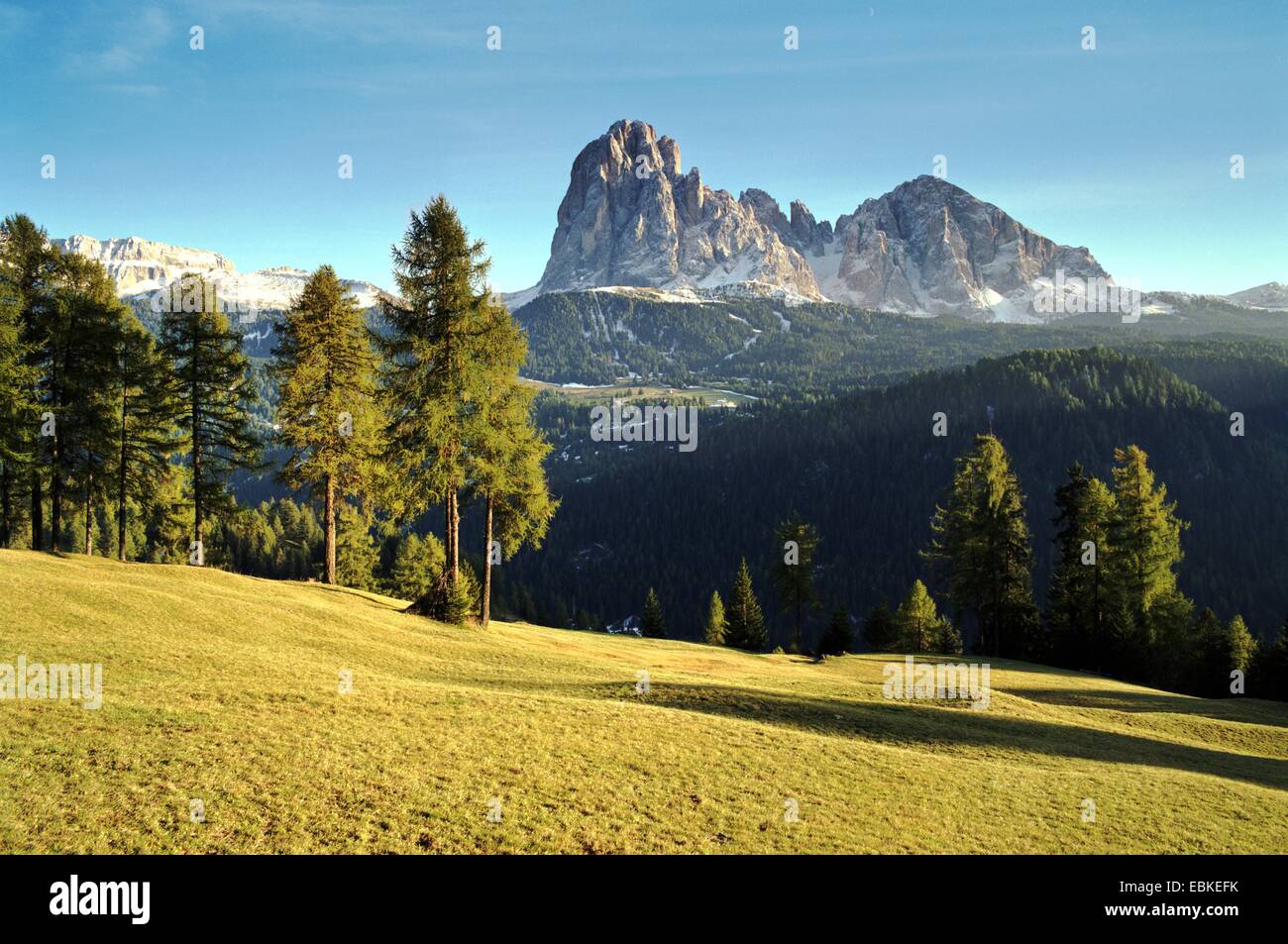 Blick auf Plattkofels und Langkofel, Italien, Südtirol, Dolomiten Stockfoto