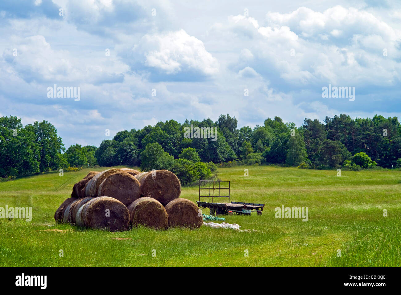 Heuernte in Hullerbusch, Deutschland, Mecklenburg-Vorpommern Stockfoto